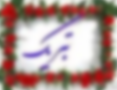 تبریک درخشش دختران توانمند شهید ناظری در مرحله